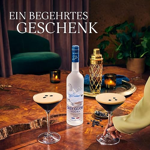 Grey Goose Wodka (1 x 0.7 l) - 11
