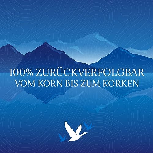 Grey Goose Wodka (1 x 0.7 l) - 4
