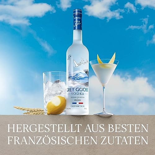 Grey Goose Wodka (1 x 0.7 l) - 6