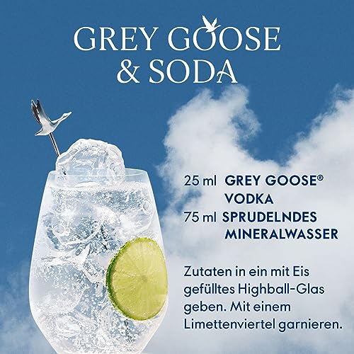 Grey Goose Wodka (1 x 0.7 l) - 10
