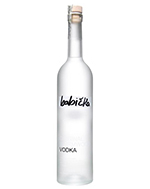Eine ansprechende Vodkaflasche mit dem Namen "Babicka Vodka" vor einem neutralen Hintergrund.